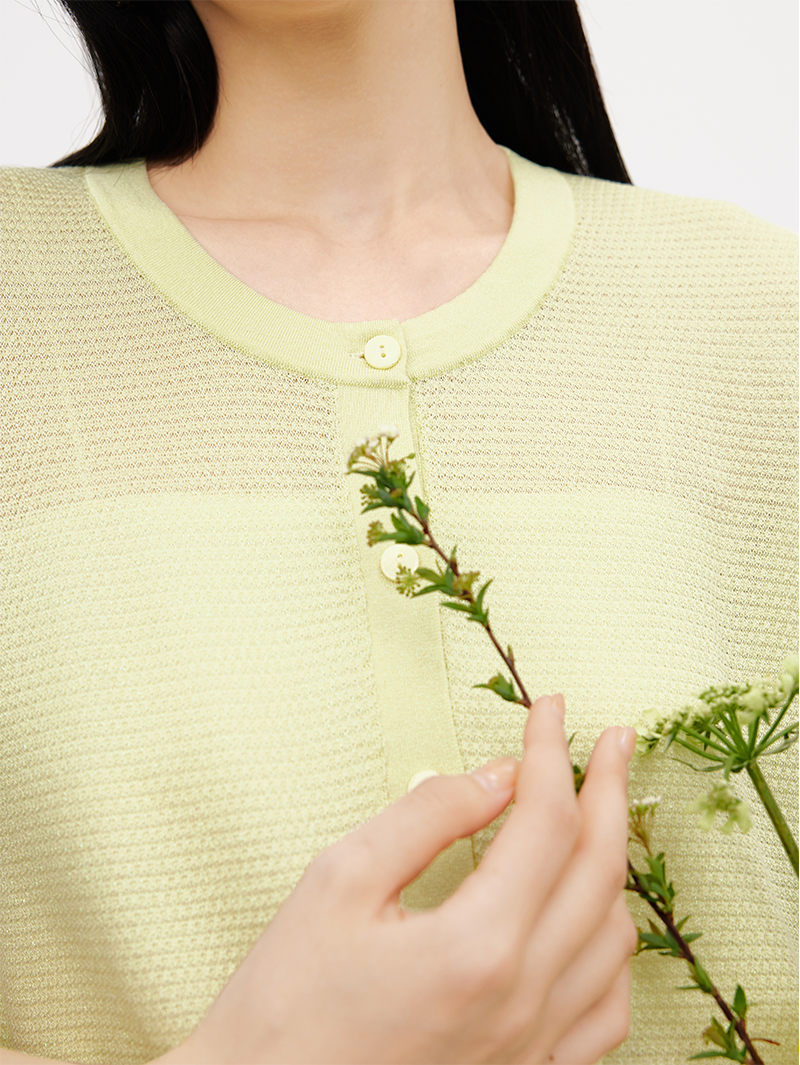 Women's Mustard Yellow Round Neck Short Sleeves Knit Top