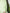 Women's Floral Light Green V Neck A-Line 100% Cotton Wrap Dress