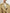 Women's Khaki Lapel Double Breasted Trench Coat with Belt