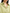 Women's Green Polo V Neck Short Sleeves 100% High Quality Cotton Shirt