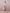 Women's Coffee Simple Small Leg Trousers
