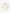 Women's Summer Off-White Notch Lapel Stable Short Sleeves Short Blazer