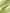Women's Floral Light Green V Neck Smooth Acetate Slip Dress