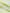 Women's Green FloralV Neck Slip Dress