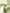 Women's Light Green Stand Collar Short Sleeves Button Down Dress