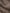 Close-up of textured brown fabric with a wavy pattern