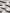 Women's White Square Neck Short Sleeves Knit Top