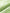 Women's Floral Light Green V Neck A-Line 100% Cotton Wrap Dress