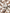 Women's Floral Caramel Square Neck Puff Sleeves Breathable Lyocell Dress