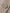 Women's Khaki Peak Lapel Classic Fit Woolen Blazer
